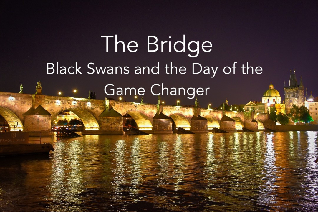 Black Swans and the Day of the Gamechanger