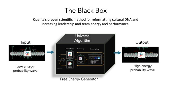 Organisational I.Q is driven by Scientific Methods and the Laws of Physics.  Introducing the Black Box Methodology