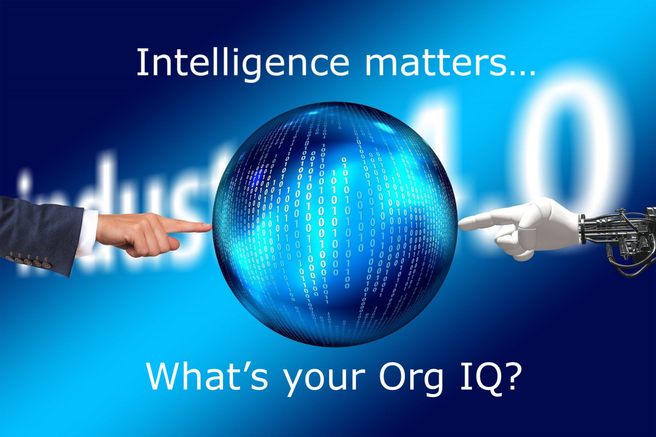 How smart is your organisation?  QAnon smart?  Or Einstein smart?  It matters....
