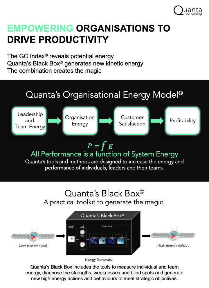 Unleashing Organisational Energy - the Fuel that Drives Performance
