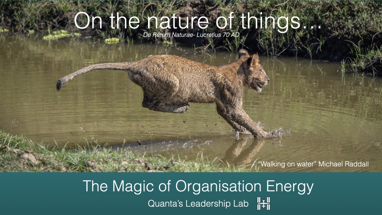The Magic of Energy that Drives Organisations